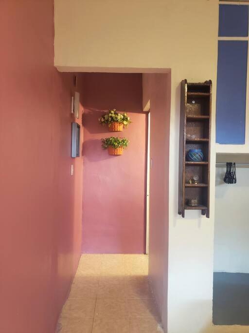 Om Studio Oaxaca Eksteriør billede